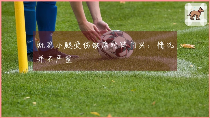 凯恩小腿受伤缺席对阵门兴，情况并不严重